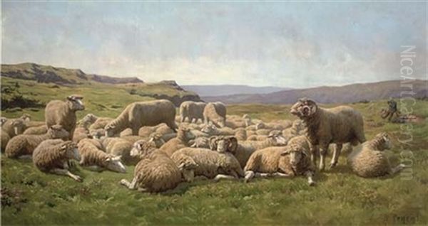 Sheep In A Meadow Oil Painting by Rene Peyrol