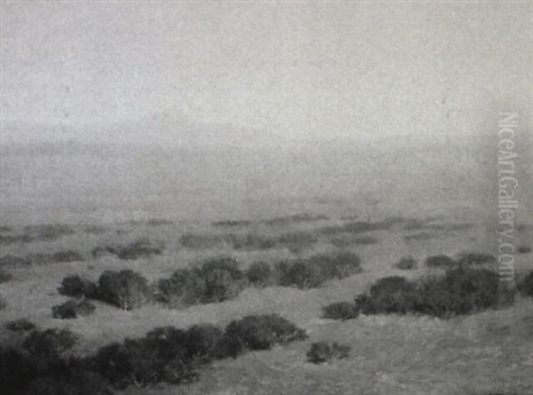 Desert View, Arizona Oil Painting by Bertha Menzler Peyton