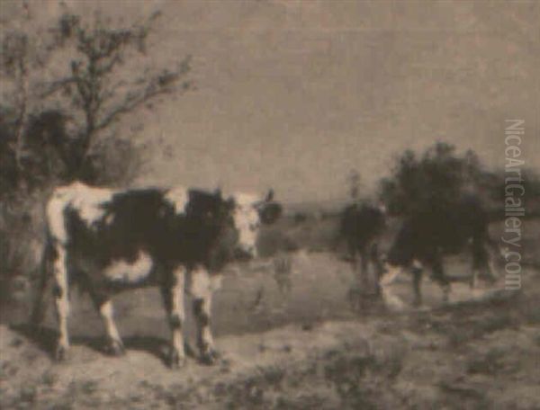 Cows By The River Oil Painting by Aymar (Aimard Alexandre) Pezant