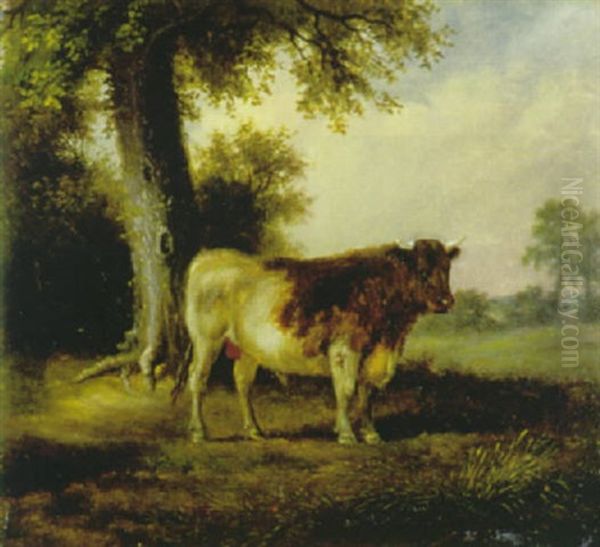 Der Weissbraune Stier Oil Painting by Friedrich Wilhelm Pfeiffer