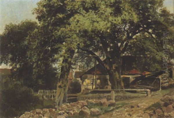 Bauernhauser Unter Alten Baumen (auf Hiddensee?) Oil Painting by Gustav Pflugradt