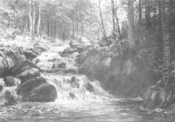 Cascading Stream Through A Forest Oil Painting by William Preston Phelps