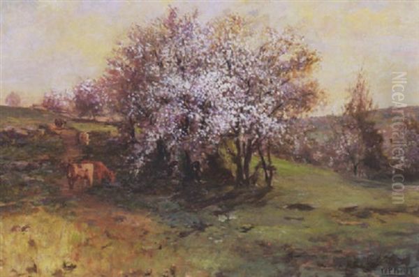 A Cardinal Amongst The Blossoms Oil Painting by William Preston Phelps