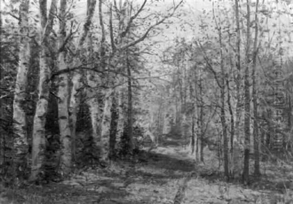 Autumn Birches Oil Painting by William Preston Phelps