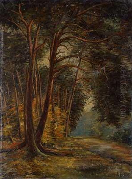 Am Pflanzengarten Im Schwanheimer Wald Oil Painting by Johann Daniel Bode