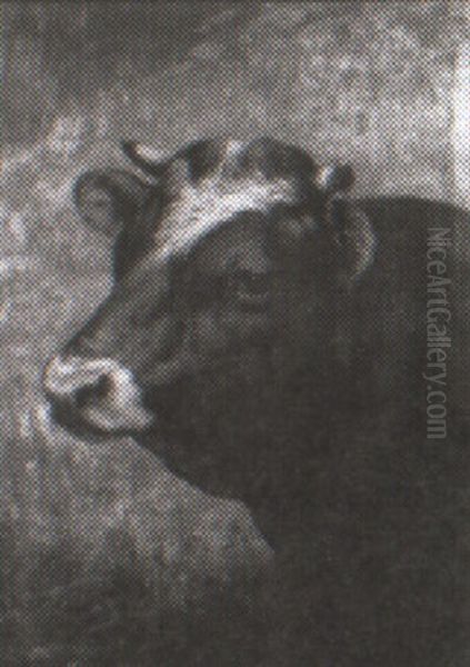 Head Of A Cow Oil Painting by William Preston Phelps