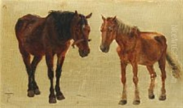 Study Of Two Horses Oil Painting by Theodor Philipsen