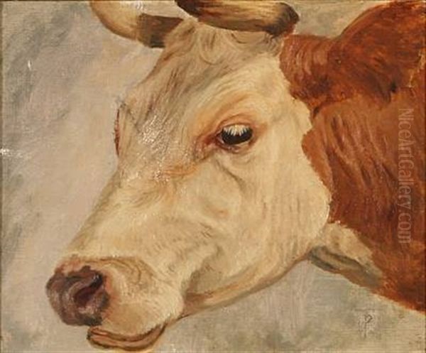 A Cow's Head (study) Oil Painting by Theodor Philipsen