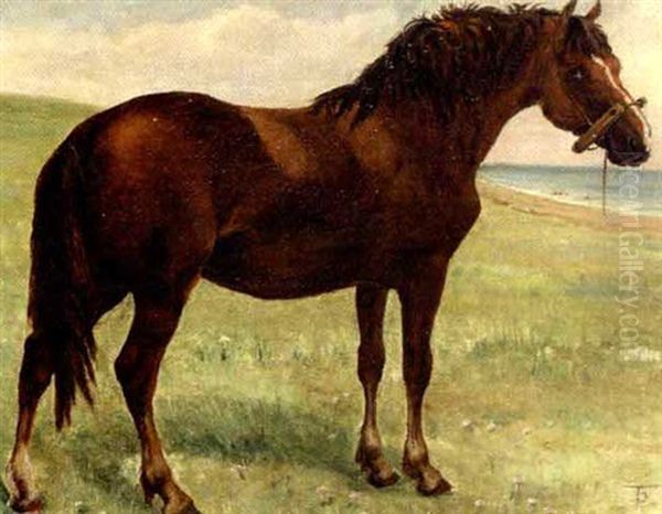 Hest Pa En Strandeng Oil Painting by Theodor Philipsen