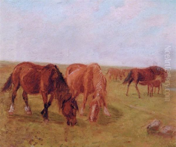 Parti Fra Saltholm Oil Painting by Theodor Philipsen