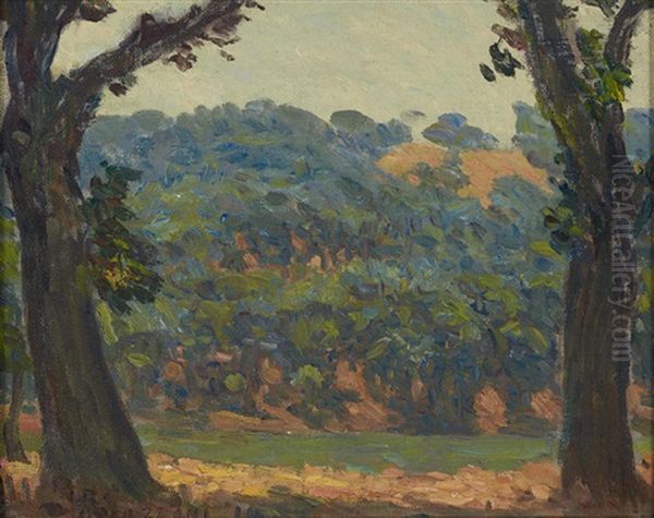 Oaks, Kentfield Oil Painting by Gottardo Piazzoni