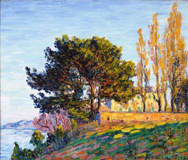 View Of Lake And Rolling Hills Oil Painting by Francis Picabia