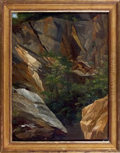 Etude D'arbres Et De Rochers (study) Oil Painting by Auguste Pichon