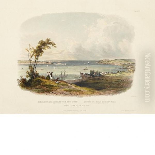 Entry To The Bay Of New York Taken From Staten Island Oil Painting by Karl Bodmer