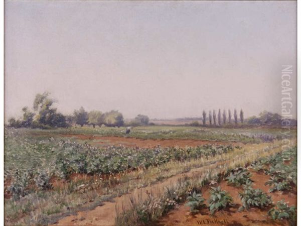 Summer Field by William Lamb Picknell