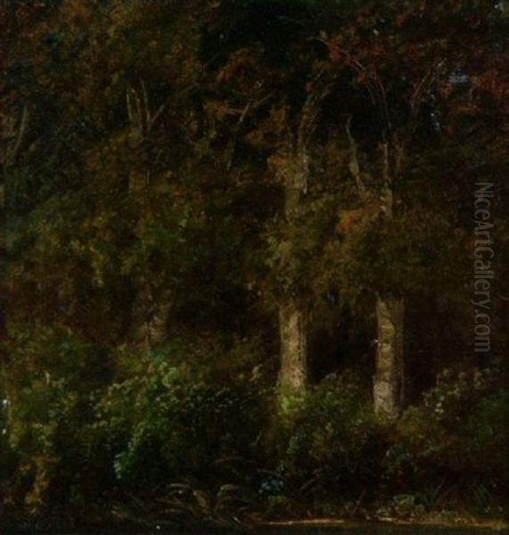 Herbstliche Waldpartie Oil Painting by August Bedrich Piepenhagen