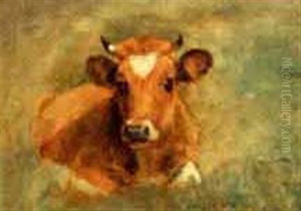 Portrait Of A Recumbent Cow Oil Painting by Charles Franklin Pierce