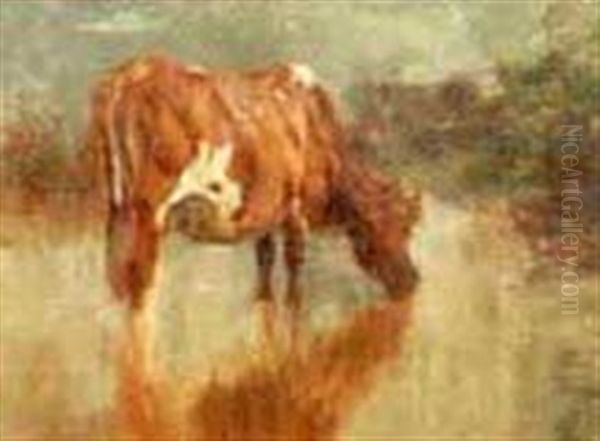 Portrait Of A Cow Drinking Water Oil Painting by Charles Franklin Pierce