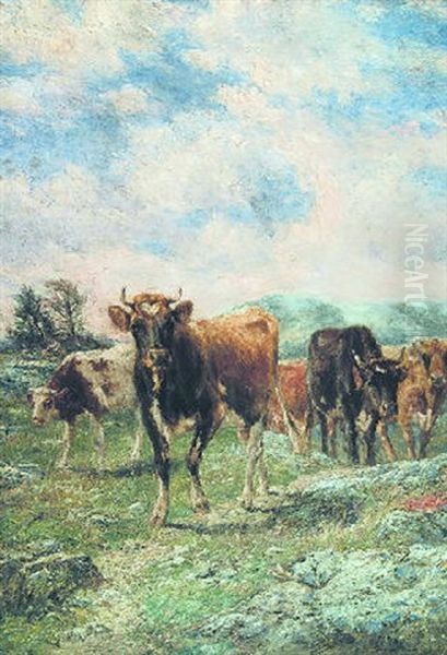 Cattle Looking Ahead Oil Painting by Charles Franklin Pierce