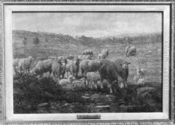 Sheep In The Meadow Oil Painting by Charles Franklin Pierce