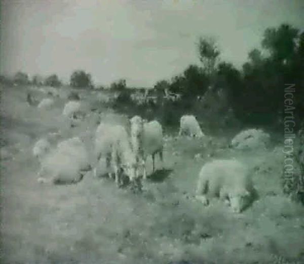 Enjoying Spring's Warmth/a Pasture View With Sheep Oil Painting by Charles Franklin Pierce