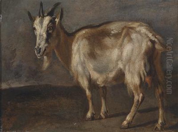 Study Of A Goat Oil Painting by Peeter Boel