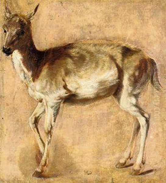 Study Of A Deer Oil Painting by Peeter Boel