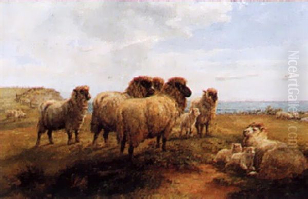 Sheep Resting On A Cliff Oil Painting by Walter Henry Pigott