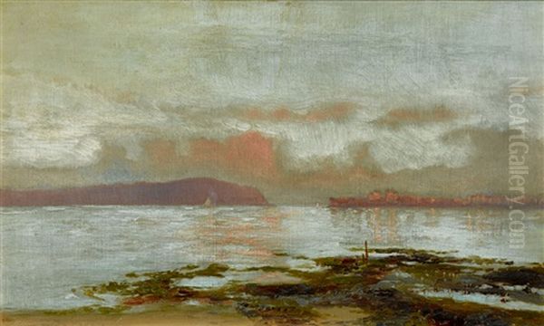 Long Nose And Balls Head From The Atlas Oil Painting by William Charles Piguenit