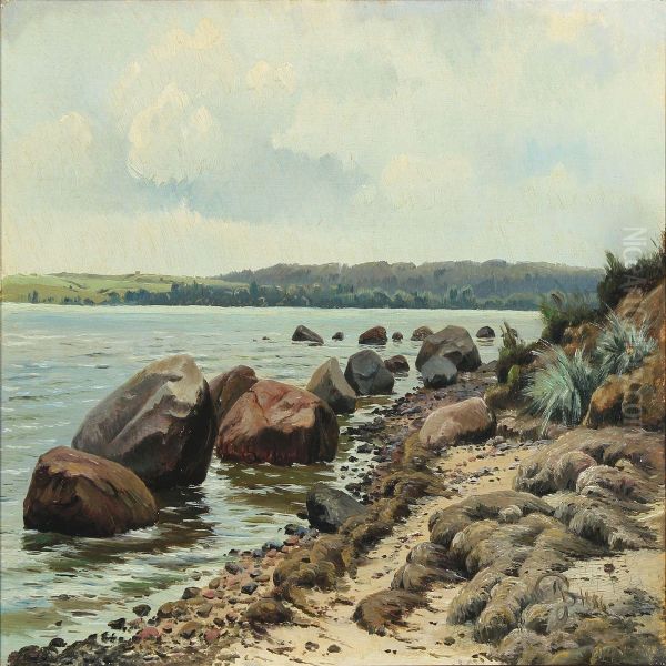 A Danish Beach Scenery At Spring Time Oil Painting by Johannes Boesen