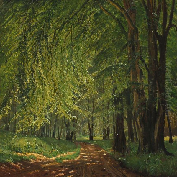 Forest Scenery A Summer Day Oil Painting by Johannes Boesen