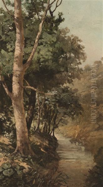 Bosque Con Arroyo Oil Painting by Jose Pinelo Llull