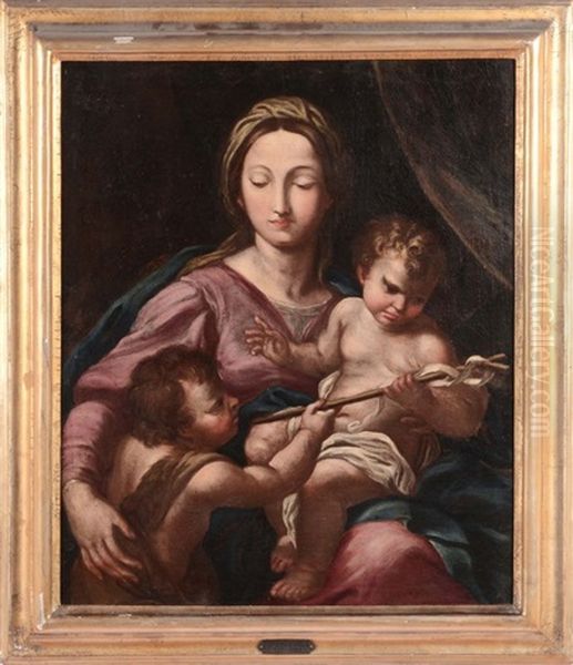 Madonna Col Bambino Oil Painting by Domenico Piola