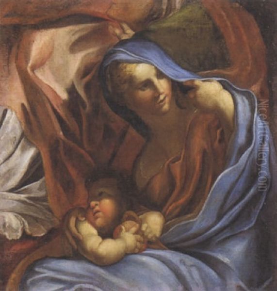 Madonna Con Bambino Oil Painting by Domenico Piola