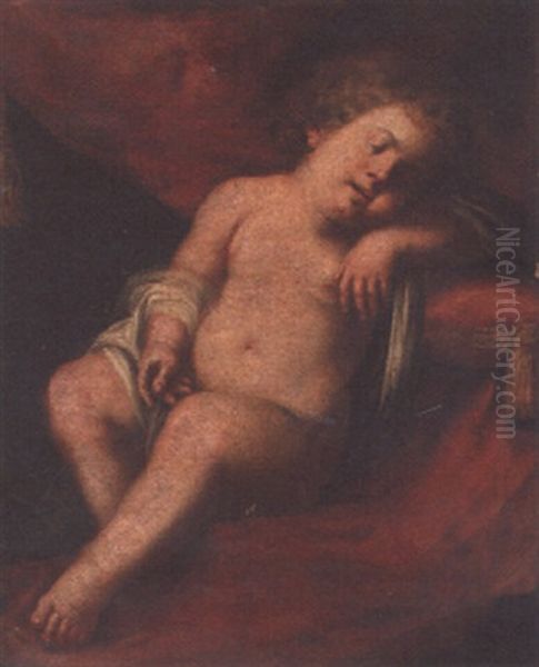 The Christ Child Sleeping Oil Painting by Domenico Piola