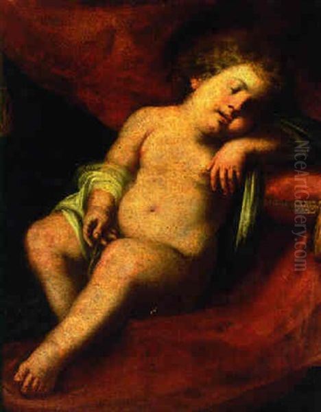 A Child Sleeping Oil Painting by Domenico Piola