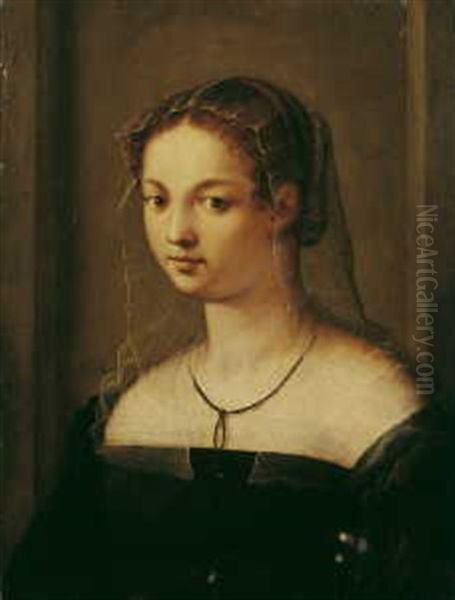 Bildnis Einer Jungen Frau Oil Painting by Sebastiano Del Piombo