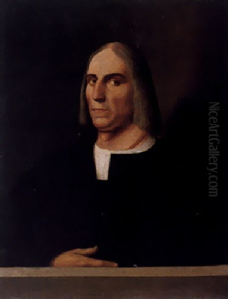 Portrat Des Dichters Sannazaro by Sebastiano Del Piombo