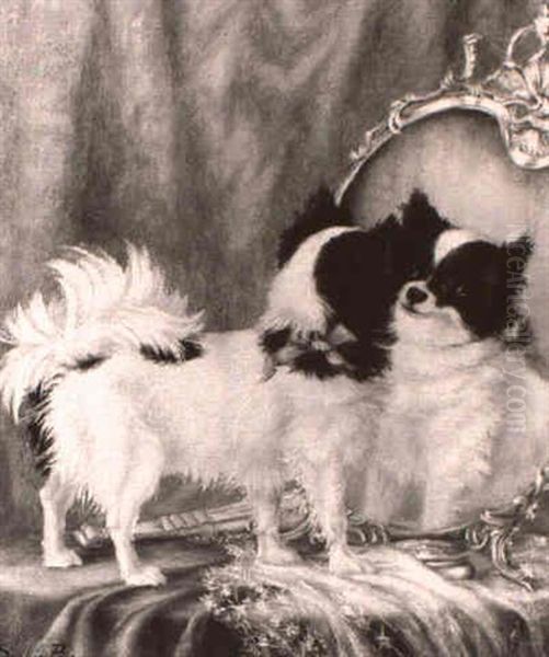 A Black And White Papillon Admiring Itself Oil Painting by Sophie Pir