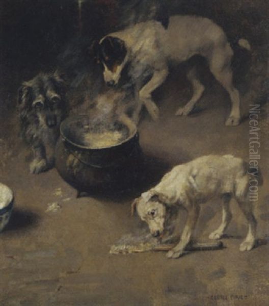 Three Dogs At A Cauldron Oil Painting by Sir George Pirie