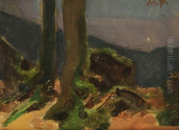 Landschaft (study) Oil Painting by Maximilian Pirner