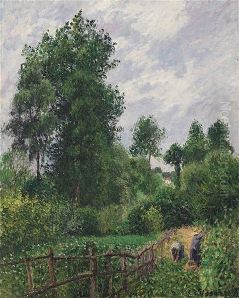 Paysage Avec Peupliers, Temps Gris, Eragny Oil Painting by Camille Pissarro