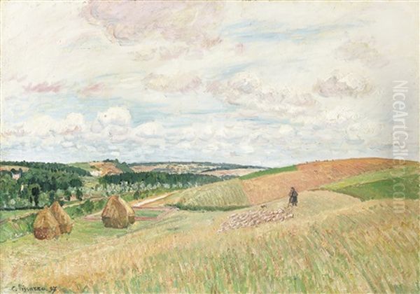 Les Coteaux De Thierceville, Meules, Berger Et Troupeau Oil Painting by Camille Pissarro