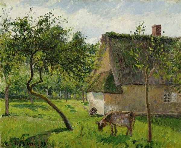 Verger A Varengeville Avec Vache Oil Painting by Camille Pissarro