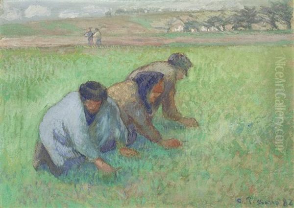 Les Sarcleurs Oil Painting by Camille Pissarro