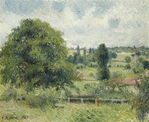 Le Grand Noyer Dans Le Pre, Eragny Oil Painting by Camille Pissarro