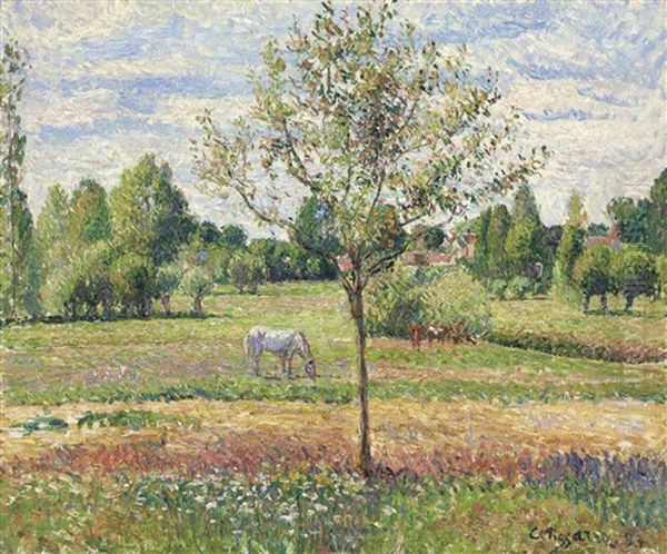 Le Pre Avec Cheval Gris, Eragny Oil Painting by Camille Pissarro