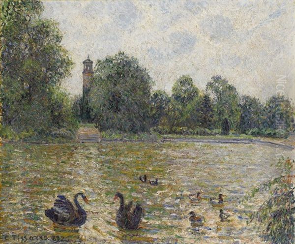 Piece D'eau A Kew, Londres Oil Painting by Camille Pissarro