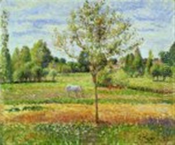 Le Pre Avec Chevalgris, Eragny - The Meadow With The Grey Horse, Eragny Oil Painting by Camille Pissarro