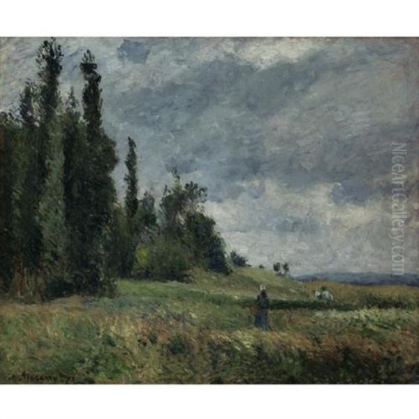 La Cote Des Grouettes, Pontoise, Temps Gris Oil Painting by Camille Pissarro